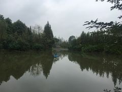 -桤木河湿地公园