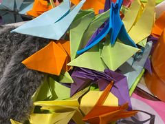 -海底捞火锅(海宁路店)