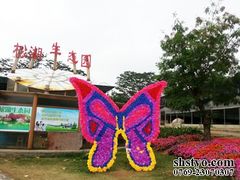-松山湖梦幻百花洲