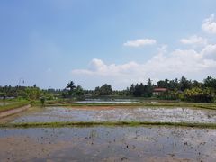 -Bebek Joni Restaurant