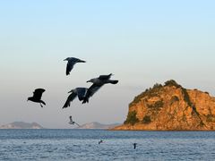 -棒棰岛宾馆景区