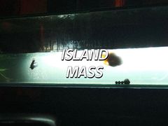 -ISLAND MASS岛·精酿吧