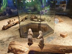 -昆明大悦城未来动物城(螺蛳湾中心店)