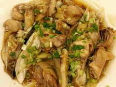 走地鸡蒸鱼头-天鲜阁·海鲜粤菜·33年老字号(石槎白云站店)