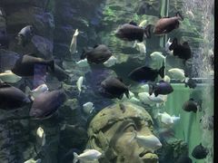 -成都浩海立方海洋公园