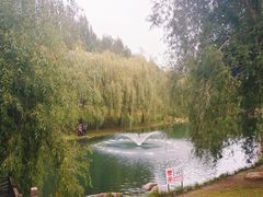 -长春公园(普阳街道)