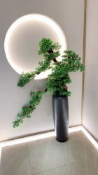 -HQ半永久纹绣纹眉