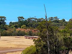 -威勒比开放式动物园