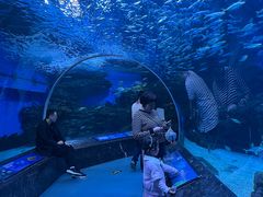 -海合安成都极地海洋公园