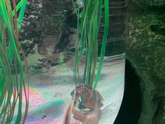 -沈阳海洋探索中心