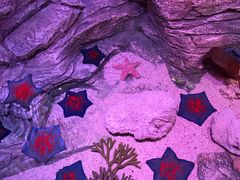 -沈阳海洋探索中心