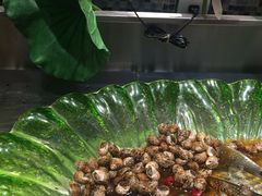 -吉布鲁牛排海鲜自助(温江合生汇店)