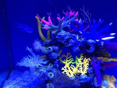 -上海海昌海洋公园