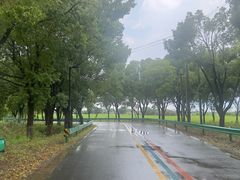 -七的湖·晚芳亭·阳澄湖农家菜·大闸蟹(莲花岛店)