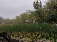 -莲湖公园