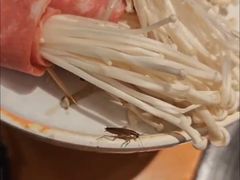 -拾勝牛·江景安格斯烧肉放题(江湾阳光天地店)