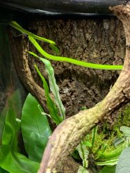 -酷嗒动物文化乐园(cutezoo西溪乐天城店)