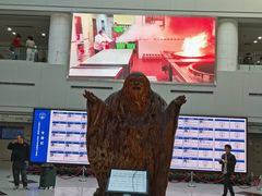 -上海市东方医院(总院)