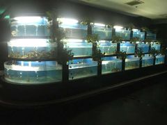 水产区-王家渡火锅店(棕榈泉店)