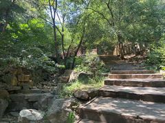 -北京西山国家森林公园