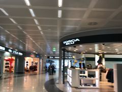 -米兰马尔彭萨国际机场