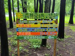 -同里国家湿地公园
