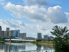 -白鹭湾湿地公园