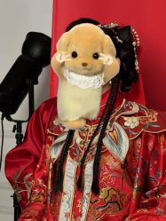 -金夫人婚纱摄影(总店)
