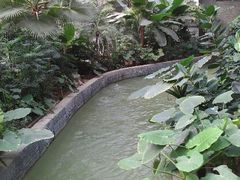 android_upload_pic-龙达温泉生态城