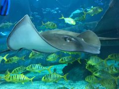 -福州罗源湾海洋世界旅游区