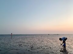 -南汇新城海滩