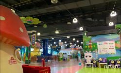 -维佳童话镇演出现场(徐东店)