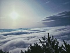 -翠矶山公园