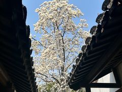 -常熟方塔园