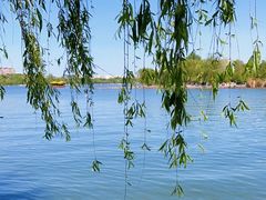 -济南大明湖景区