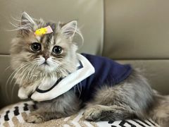 -天天向上素食餐厅(五台山店)