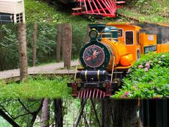 -合肥滨湖国家森林公园