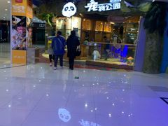 -龟与熊猫宠物公园(南坪店)