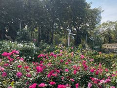 -人民公园(罗湖区)