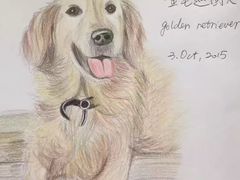 -鼎画艺术机构(贵都店)