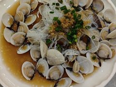 蒜蓉粉丝蒸白贝-鹭园酒家·四十年老字号