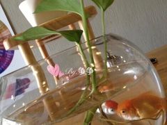 -醒味咖啡馆(南市桥巷店)