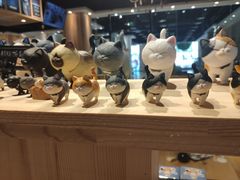 -藏猫猫咖啡主题馆(中央大道店)
