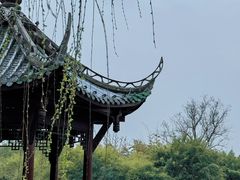 -棠湖公园
