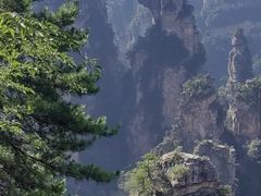 -印象鲵宴·张家界地标美食名片(溪布街店)