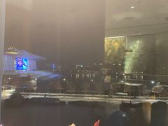 -羲和雅苑•北京烤鸭(乐园道万象城店)