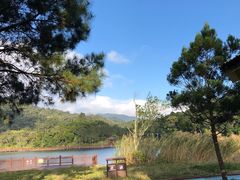-海南热带雨林国家公园吊罗山景区