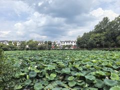 -潜口民宅博物馆