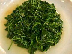 -双塔老饭店