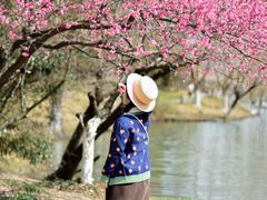-白塘生态植物园